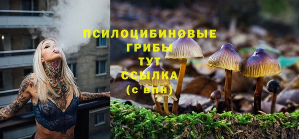 марки lsd Дмитриев
